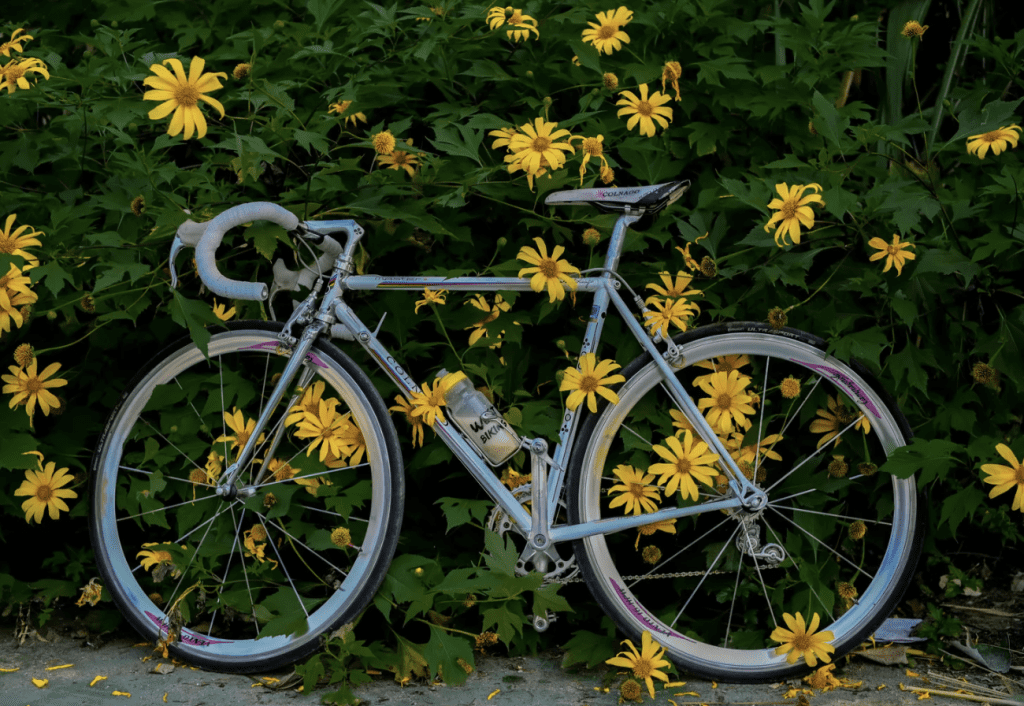 M. Burns Bike Shop